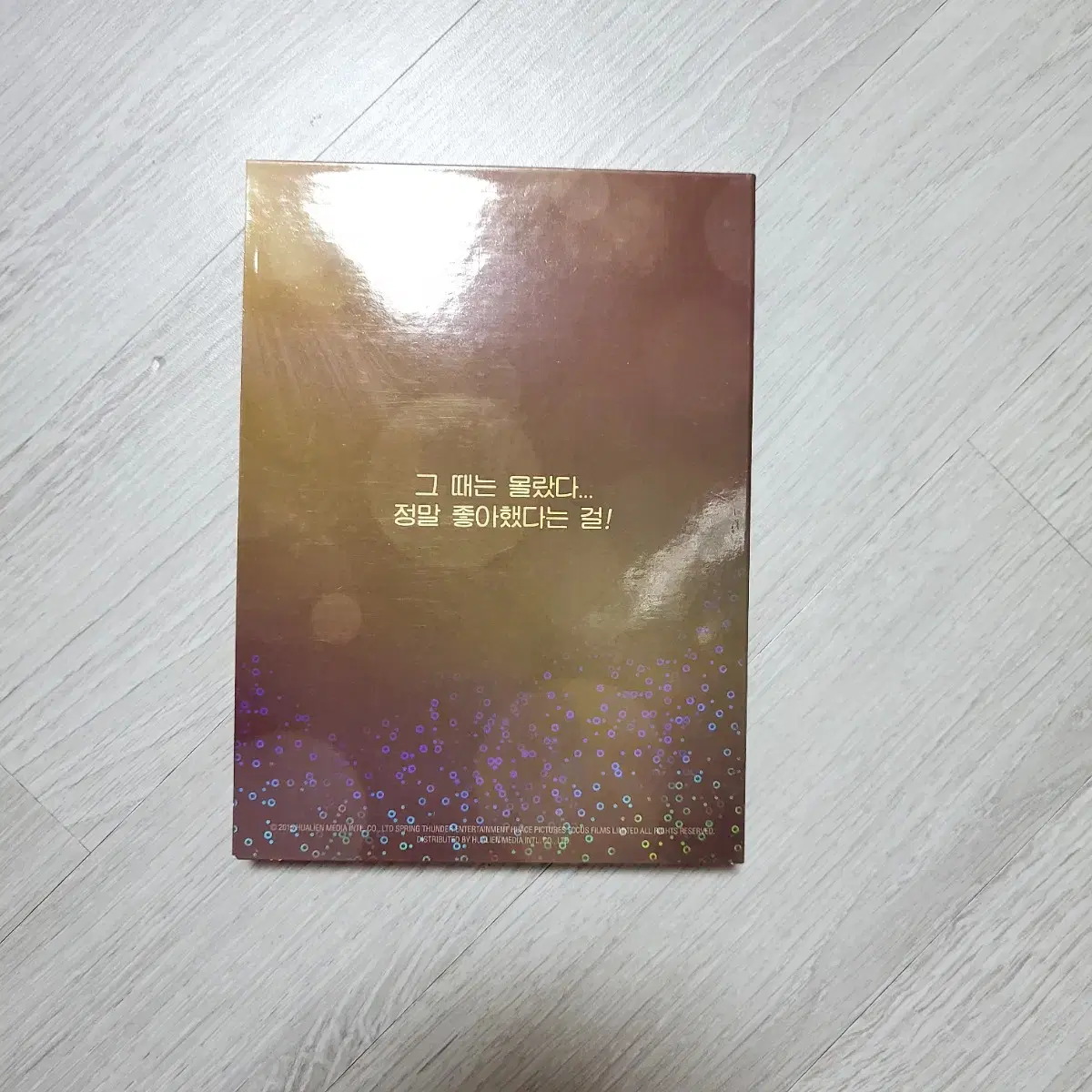 나의 소녀시대 DVD