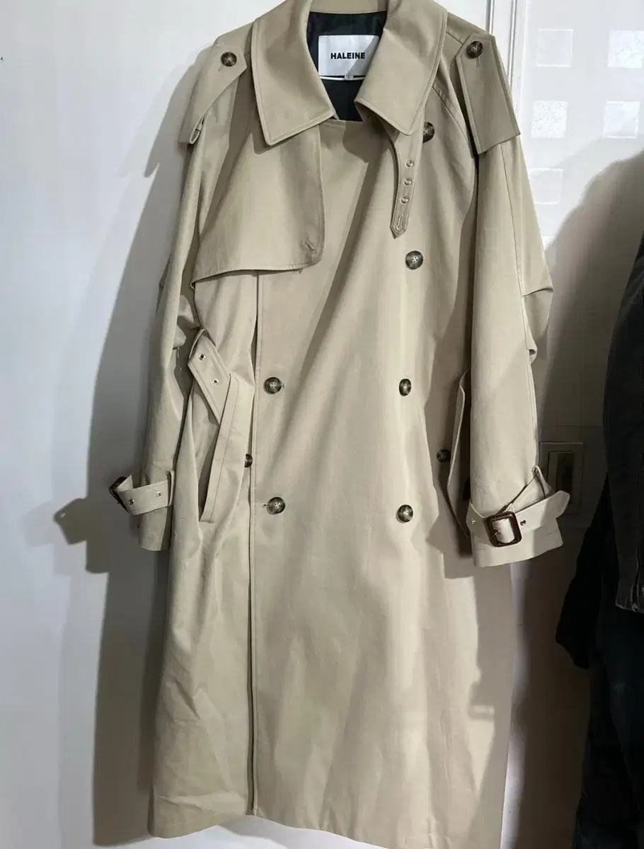 Alene 24S Over-the-knee belted beige trench coat