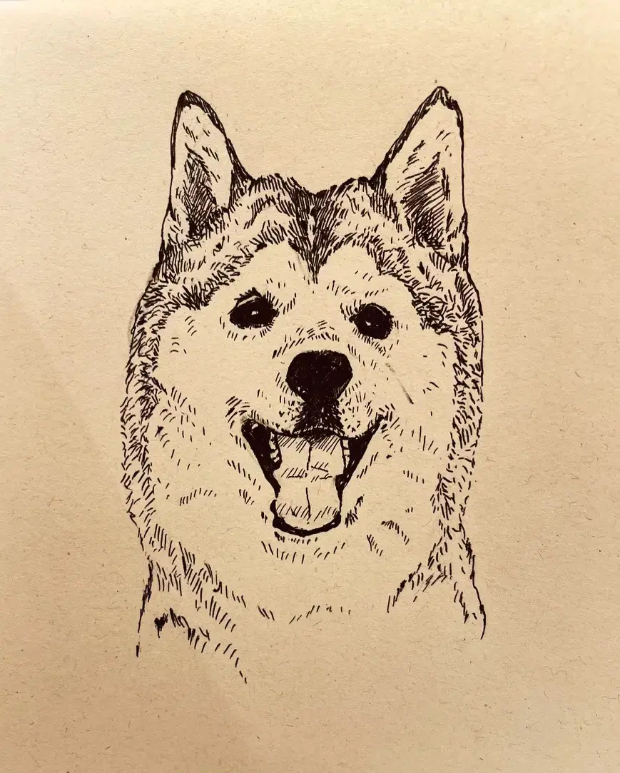 I'll draw your dog (pen art)