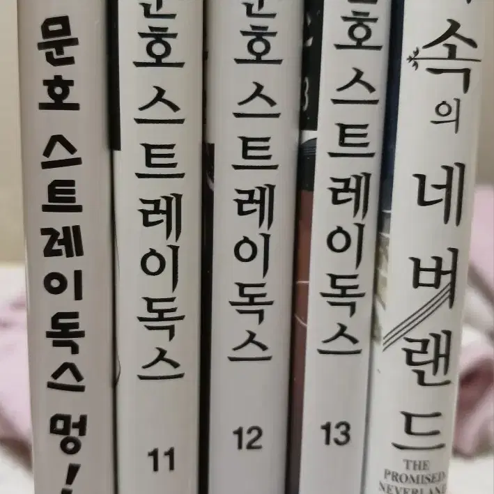 만화책 로판 권당 2000원