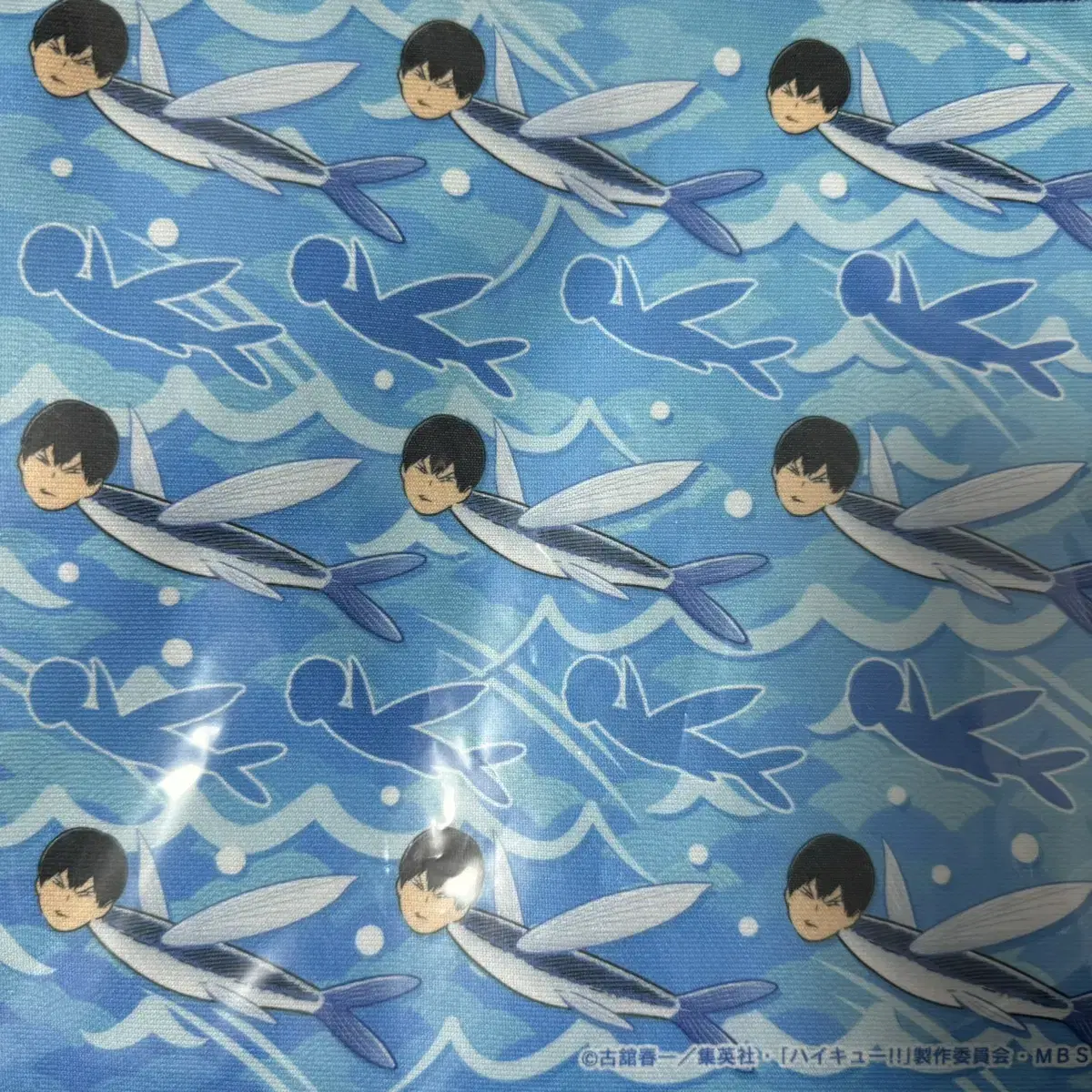 Kageyama Flying Fish Towel