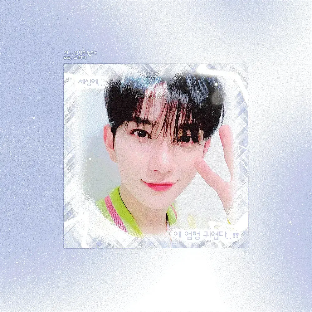 Seventeen joshua super cute stickers sticker unofficial goods for finishing touches