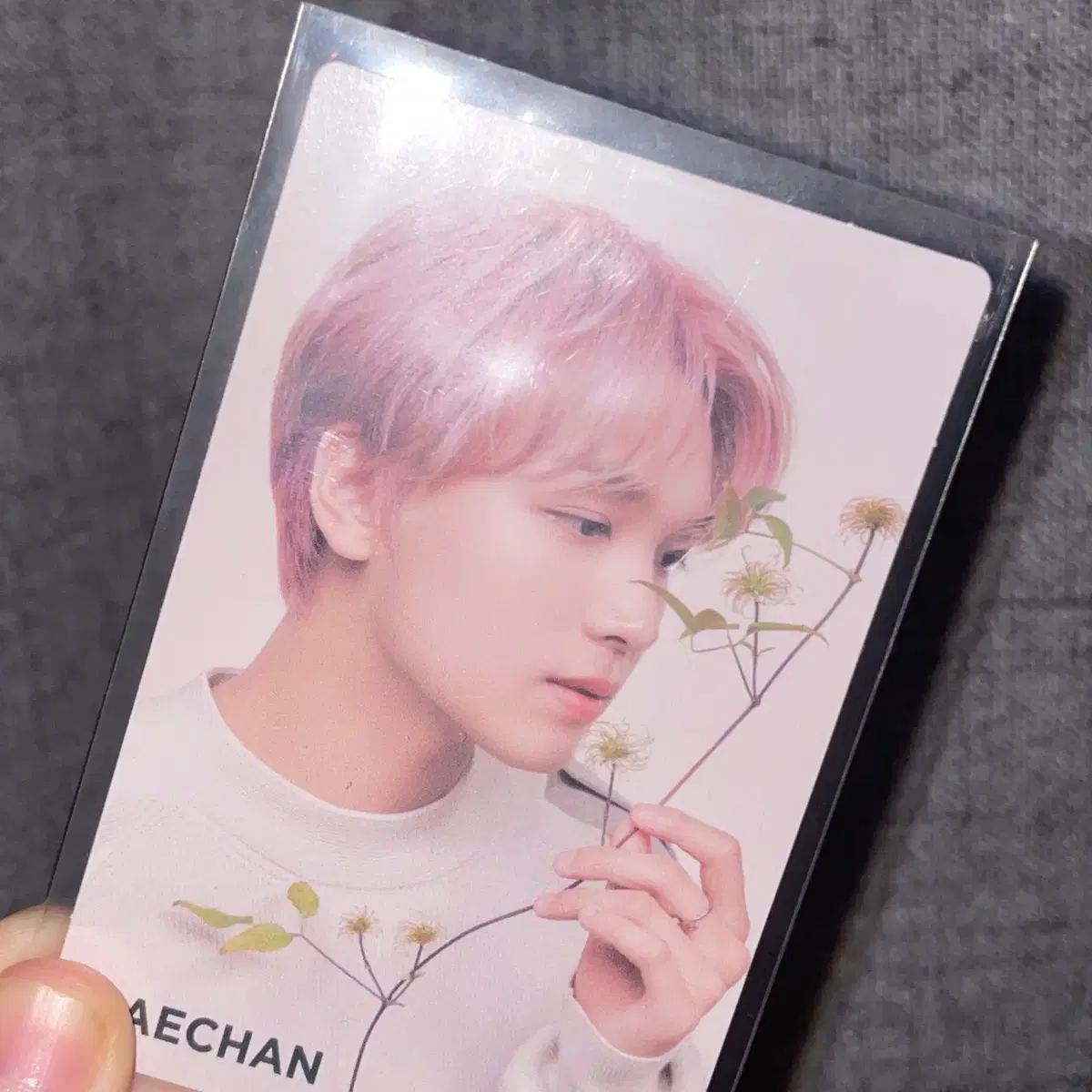 NaturePublic haechan photocard