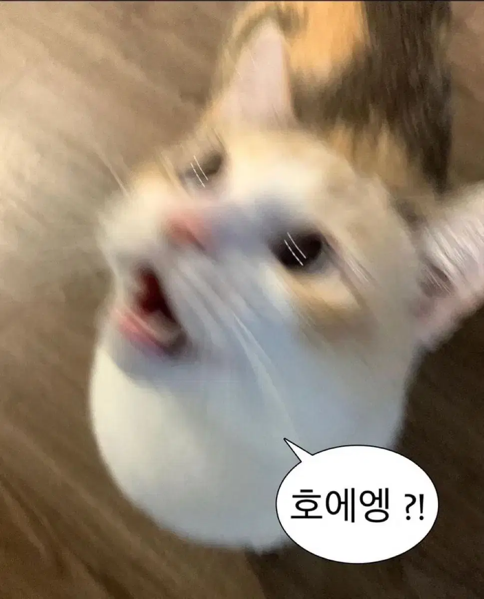 [일괄/무배] 진짜진짜 나눔급가격!! 화장품팔아용!!!