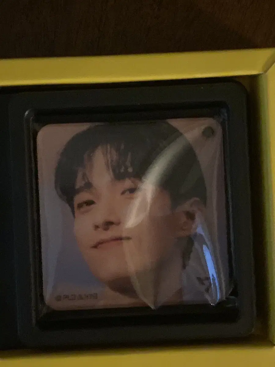 DK seventeen Chocolate Magnet