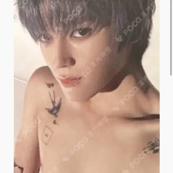 엔시티 태용 샤랄라 탭 포카