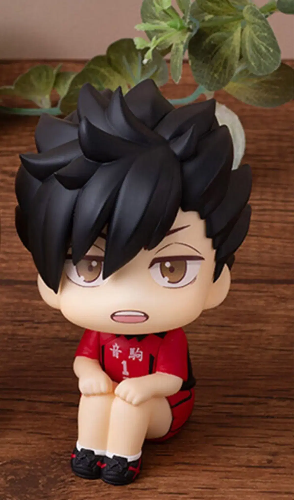 (Reservation) haikyuu Kuroo Uniform Version Lookup (unsealed, cushion included)