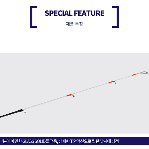 바낙스 팁런마스터 S652L-M 무늬오징어 한치 낚시대 바다낚시대