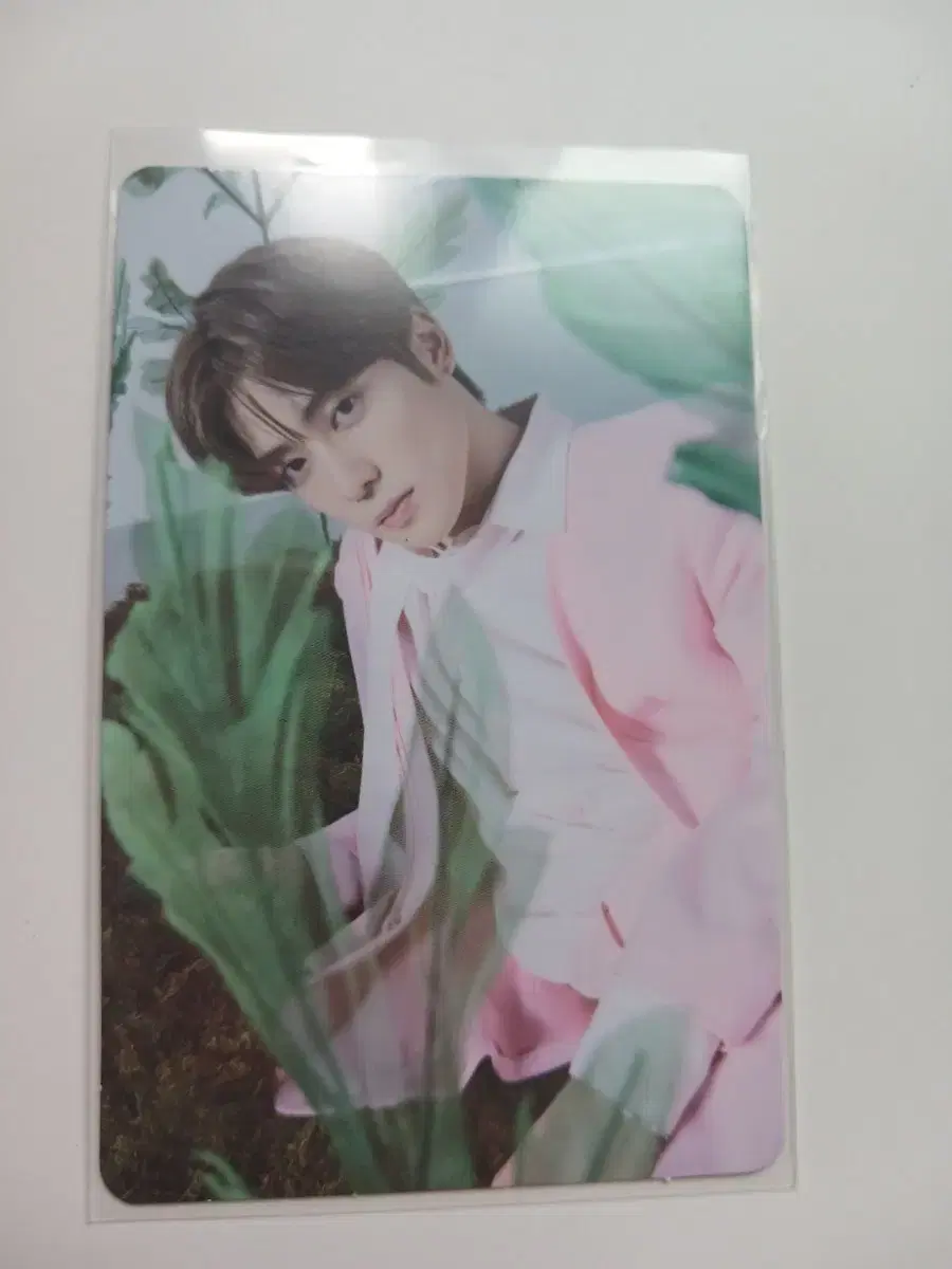 jaehyun nature republic collab photocard wts