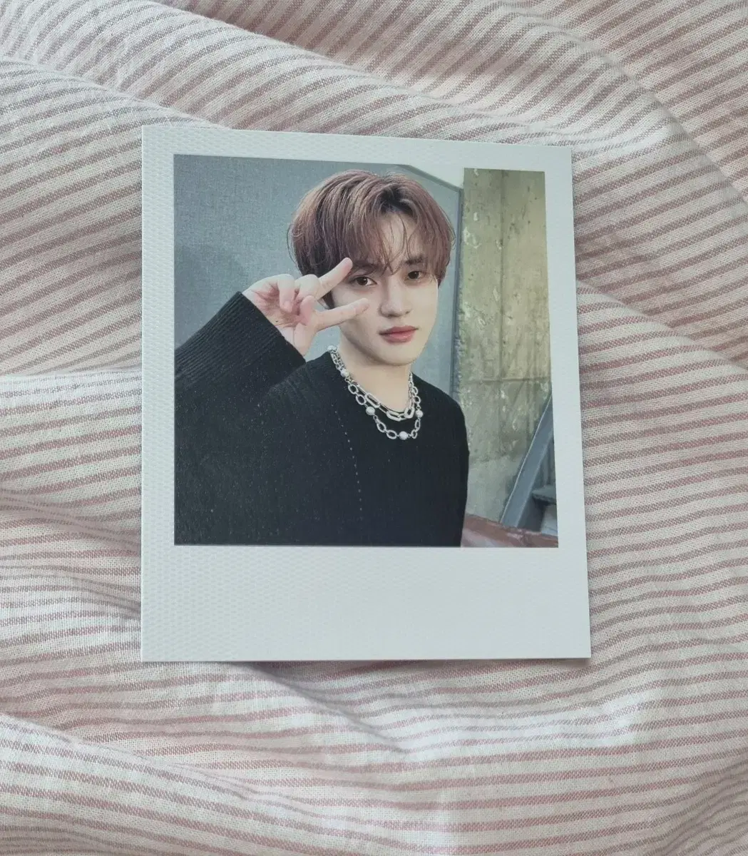 NCT Dream chenle 2024 seasons greetings pola polaroid WTS