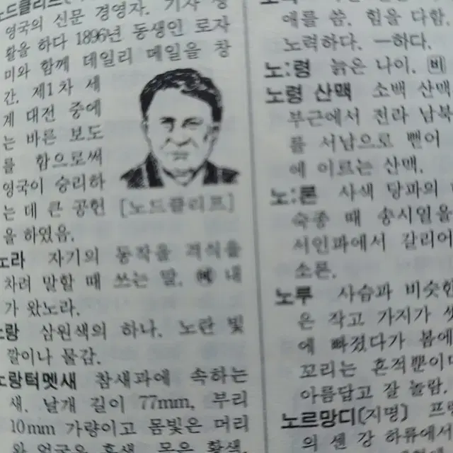 새국어사전. 동아출판사