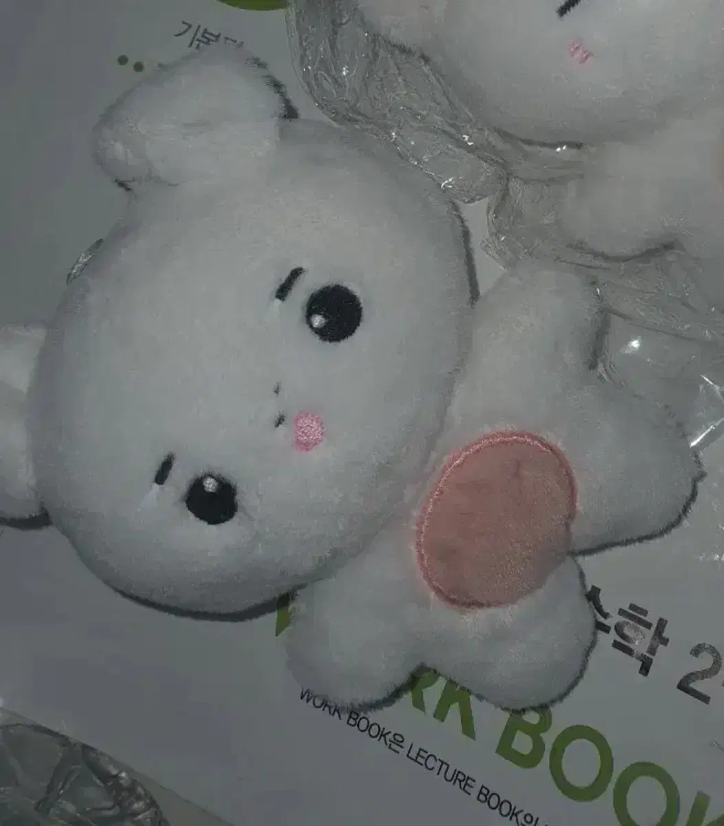 Enhypen sunghoon doll Hunbun sells