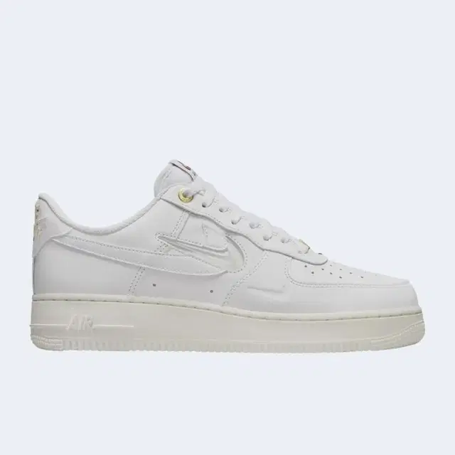 Nike Air Force 1 '07 DQ7664-100 305mm