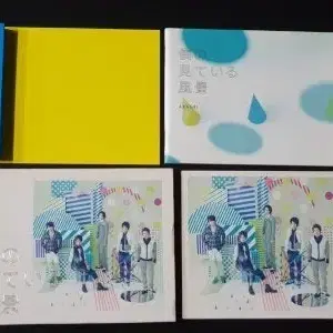 ARASHI 아라시 9집 앨범 내가 보고 있는 풍경 (2CD)