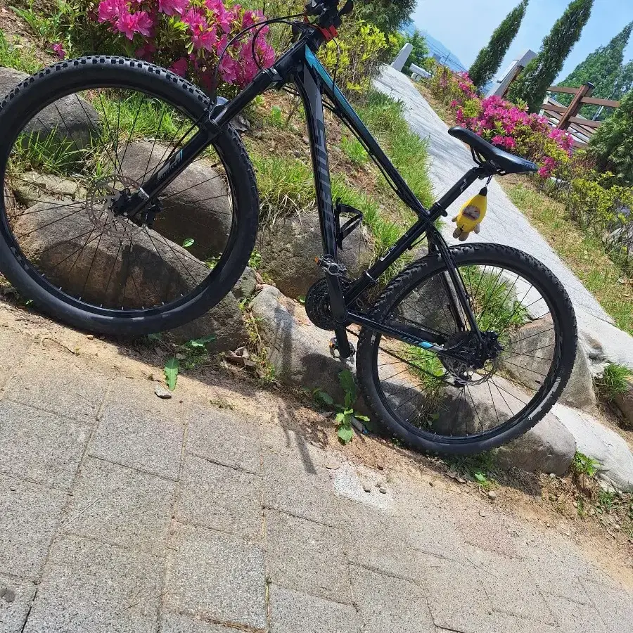 테트라mtb