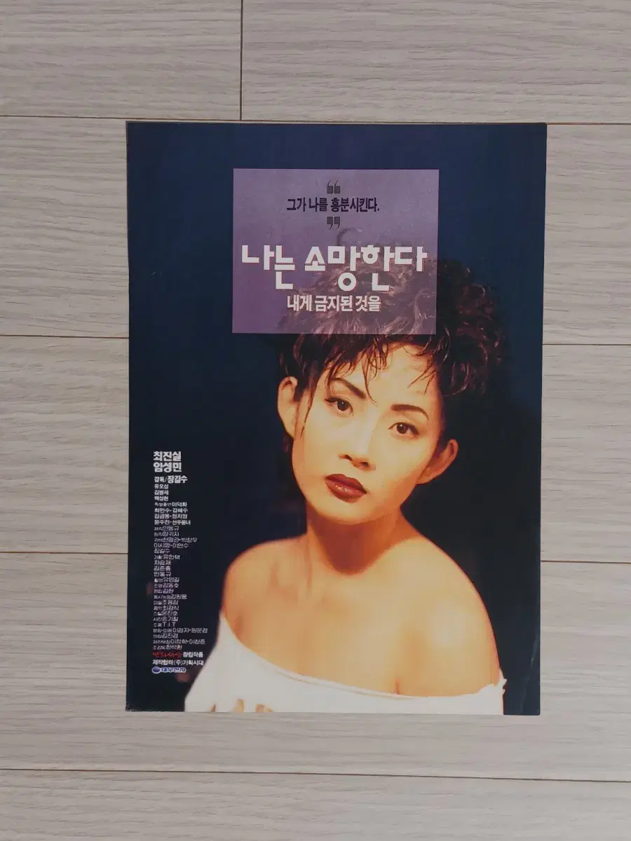 최진실 임성민 나는 소망한다 내게금지된것을(1994년)전단지