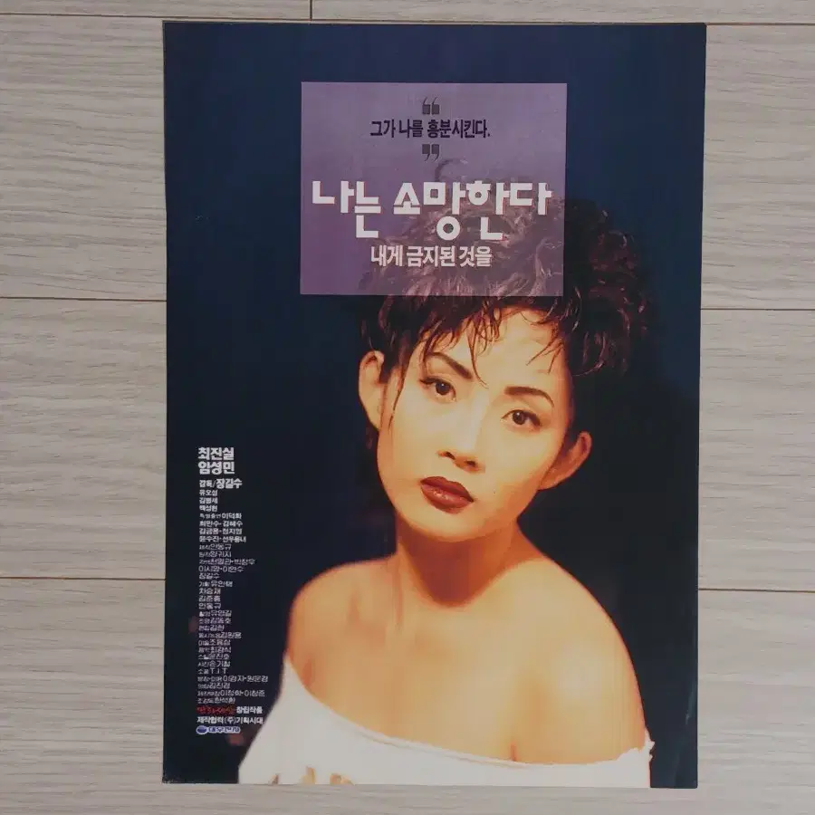 최진실 임성민 나는 소망한다 내게금지된것을(1994년)전단지