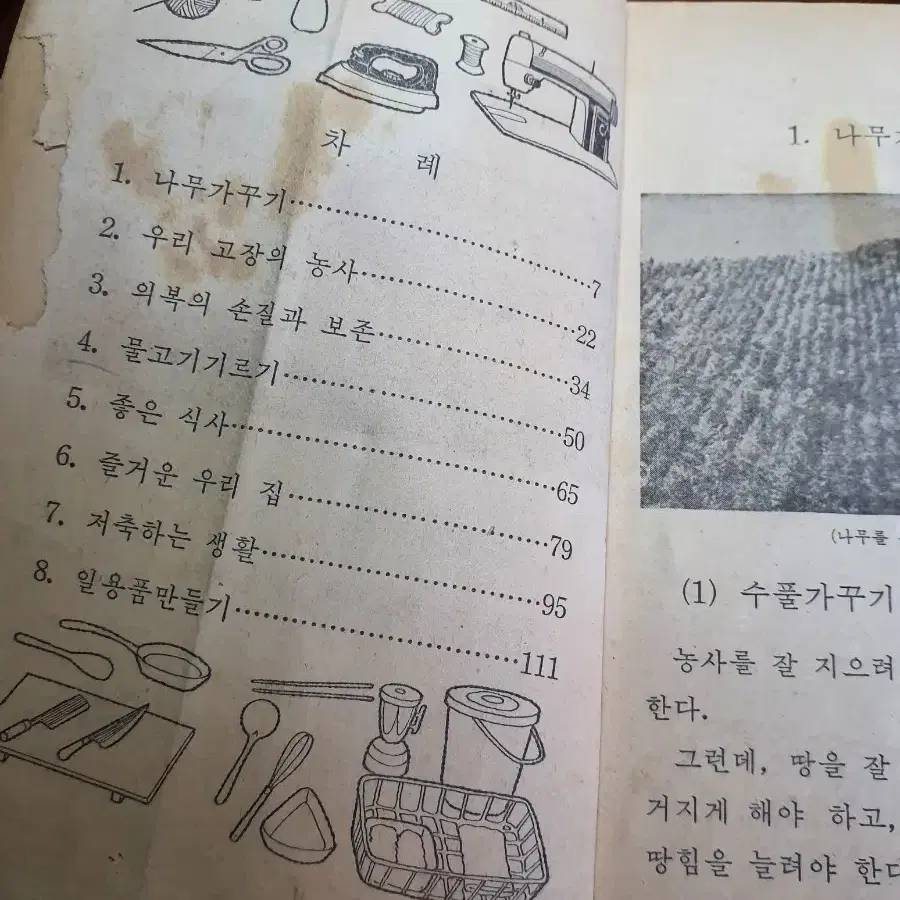 1976년도 국민학교 5학년 실과 교과서