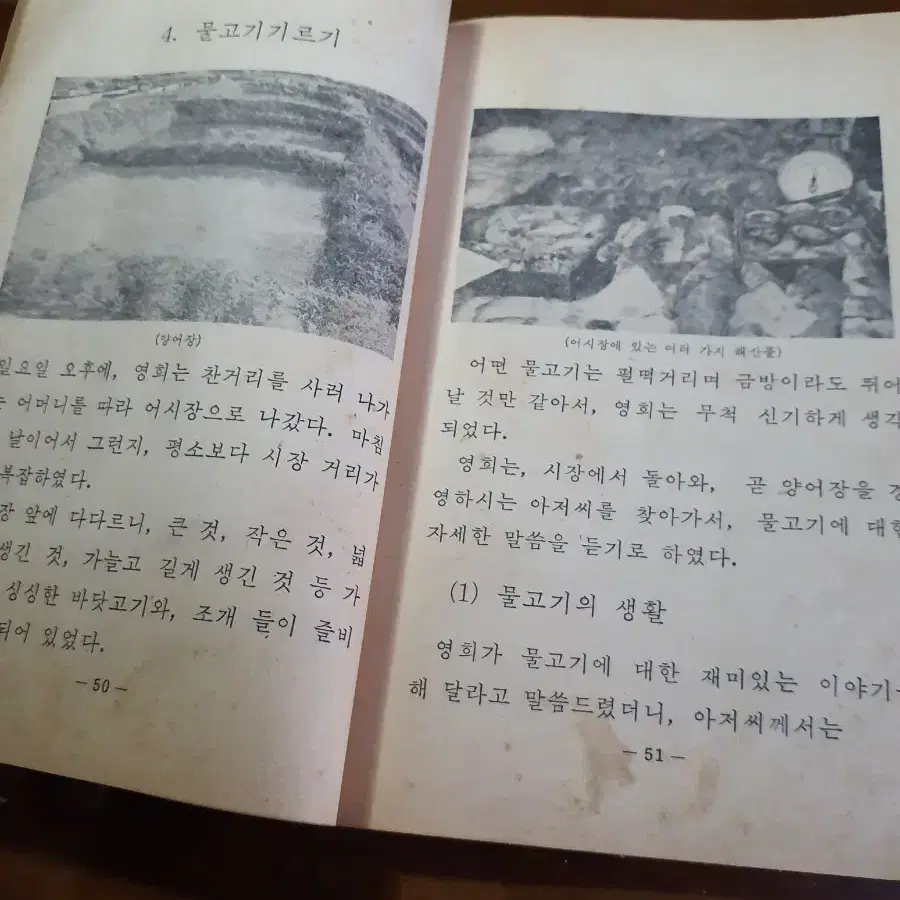 1976년도 국민학교 5학년 실과 교과서