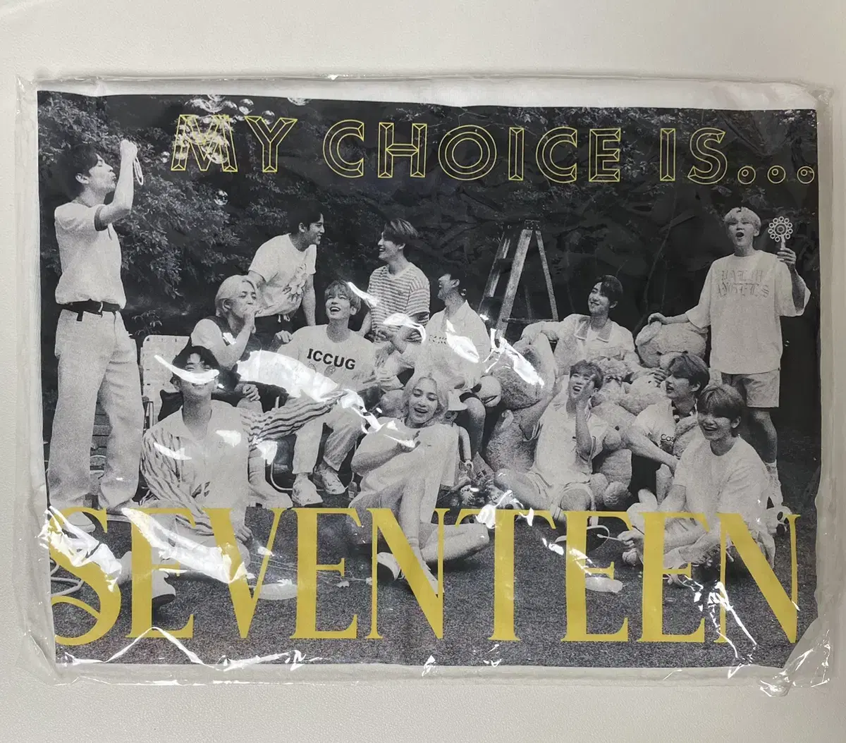 Seventeen dikon t-shirt sealed wts