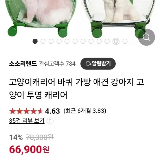 강아지,고양이 투명케리어