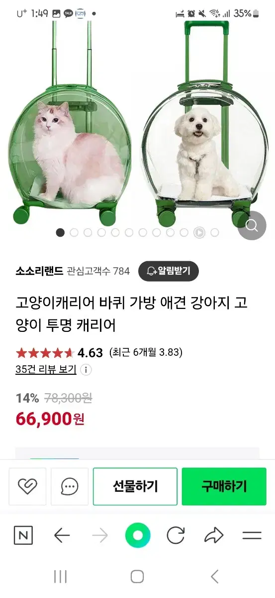 강아지,고양이 투명케리어