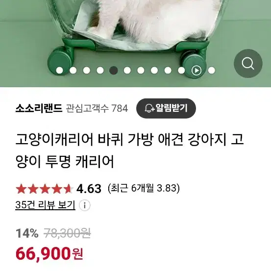 강아지,고양이 투명케리어