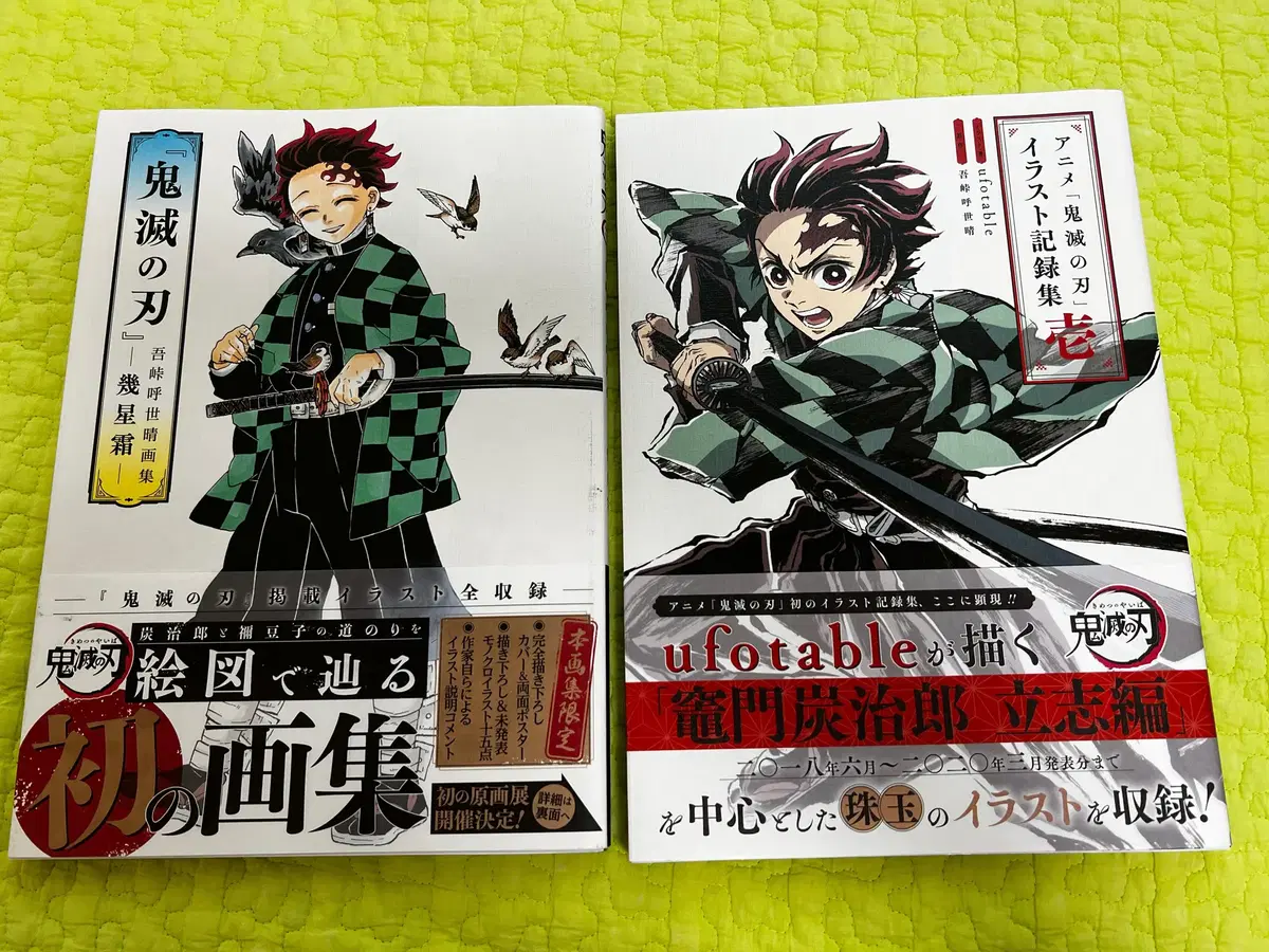 Demon Slayer Illustrated Original Artwork Volume 2 in Bulk