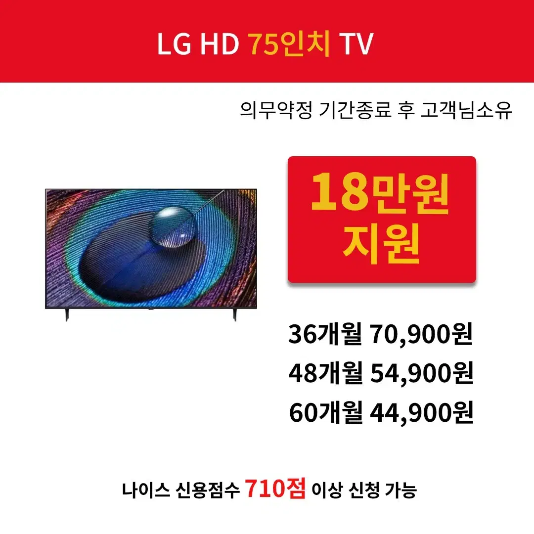 [렌탈 현금지원] LG 울트라 HD 75인치 TV