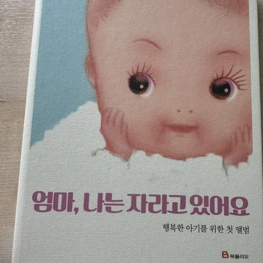 임신출산대백과(22년 최신개정판)+아기성장앨범+소책자(체크리스트) 등