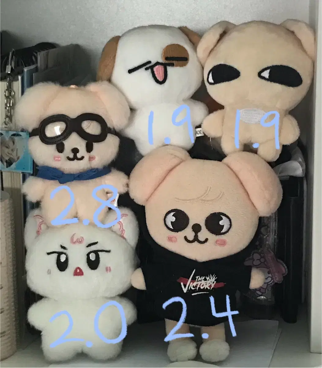 Events ) skz doll WTS