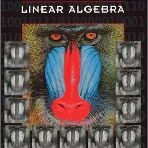 contemporary linear algebra 원서