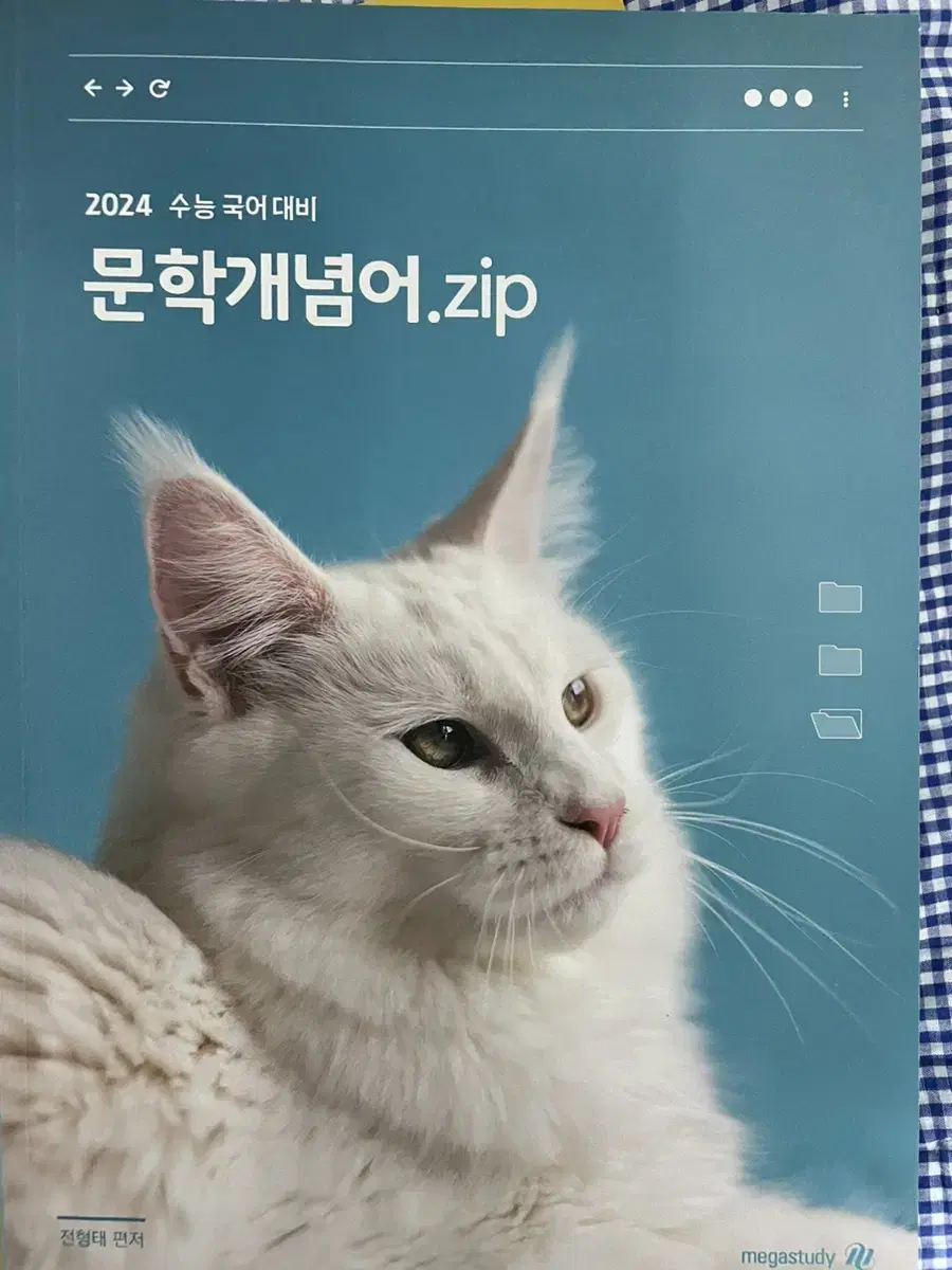 2024 메가스터디 전형태 문학개념어zip