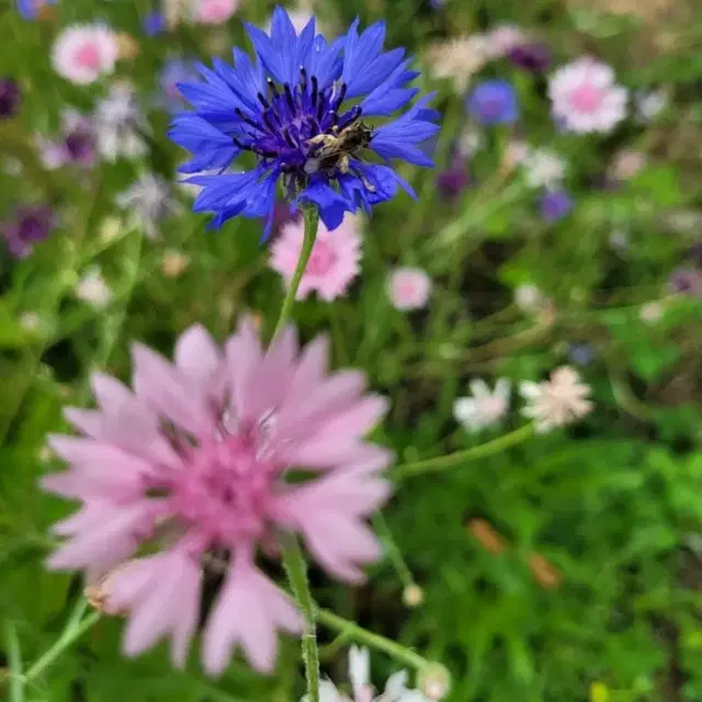 택배창입니다~결제하지마세요^^