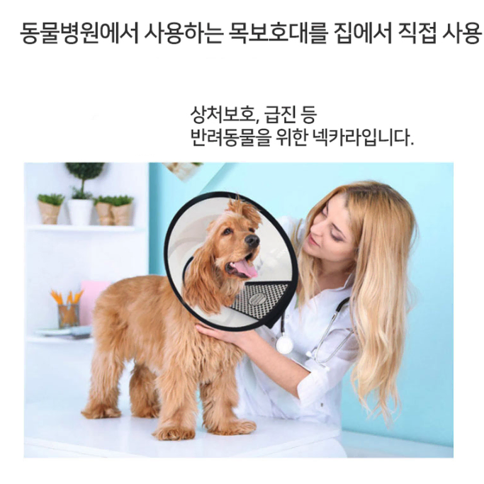 반려견 목 넥카라 / 강아지 소형견 중형견 대형견 깔대기 넥칼라 목보호대