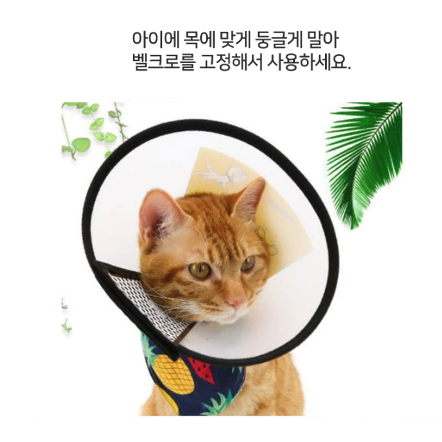 반려견 목 넥카라 / 강아지 소형견 중형견 대형견 깔대기 넥칼라 목보호대