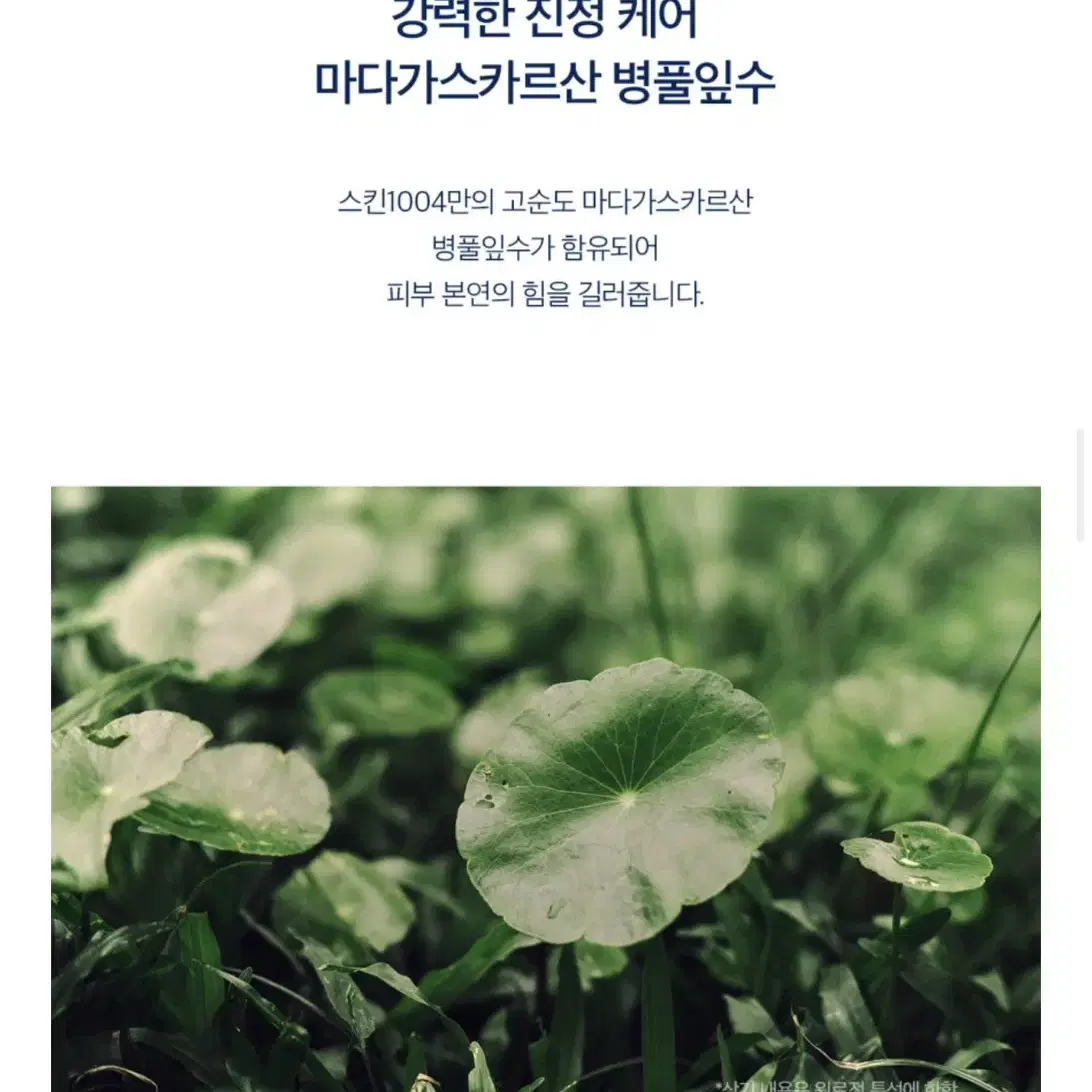 [새상품] 스킨1004 센텔라 슬리핑백 (정가 19,000원)