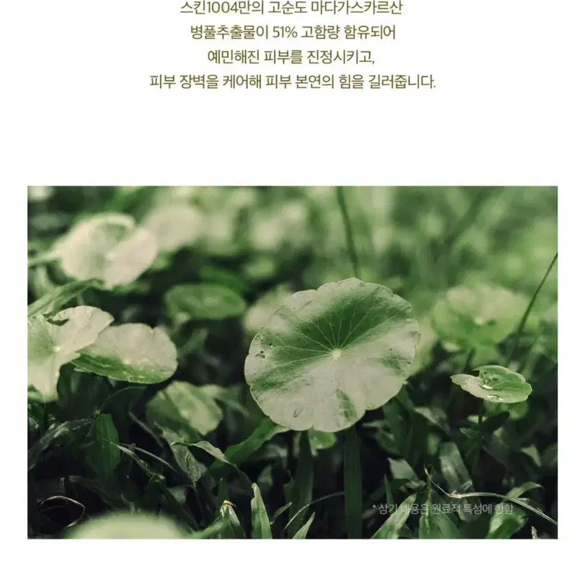 [새상품] 스킨1004 마스크팩 5매 (정가 15,000원)