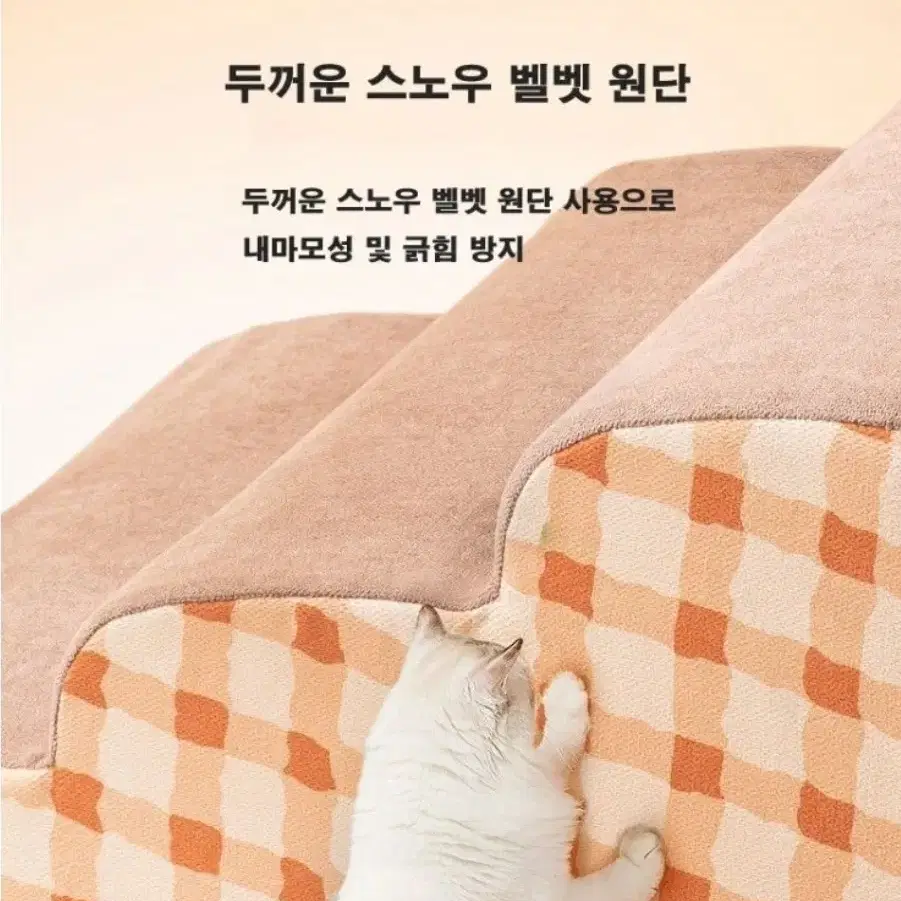 강아지 계단