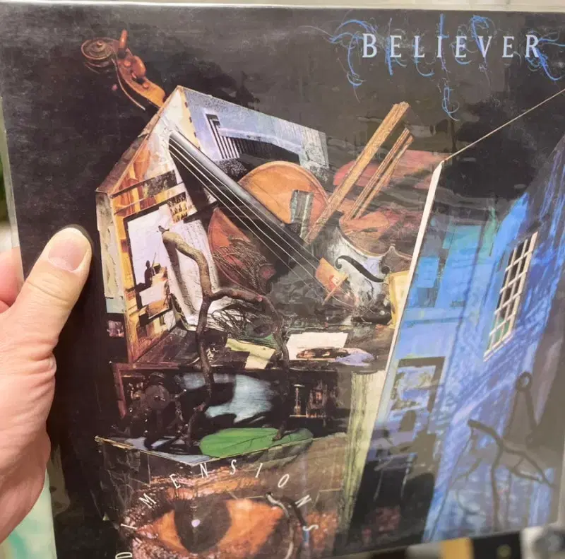 believer - dimensions lp