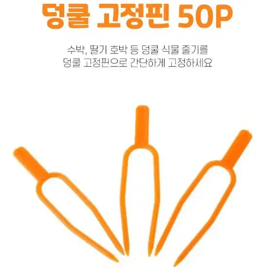 식물고정 넝쿨 덩쿨 줄기 고정 클립 핀 50P