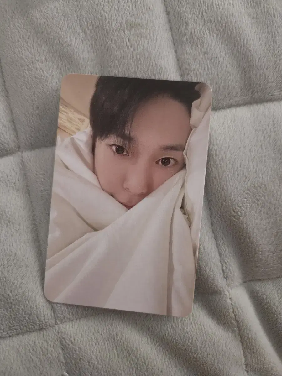 Doyoung's foam bed doyoung photocard