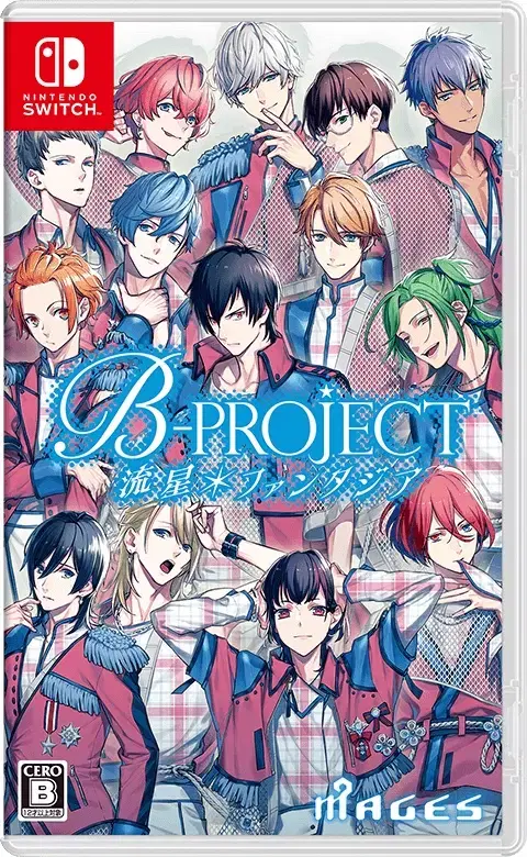 B-PROJECT 비프로 유성 판타지아 닌텐도 스위치 게임칩 판매