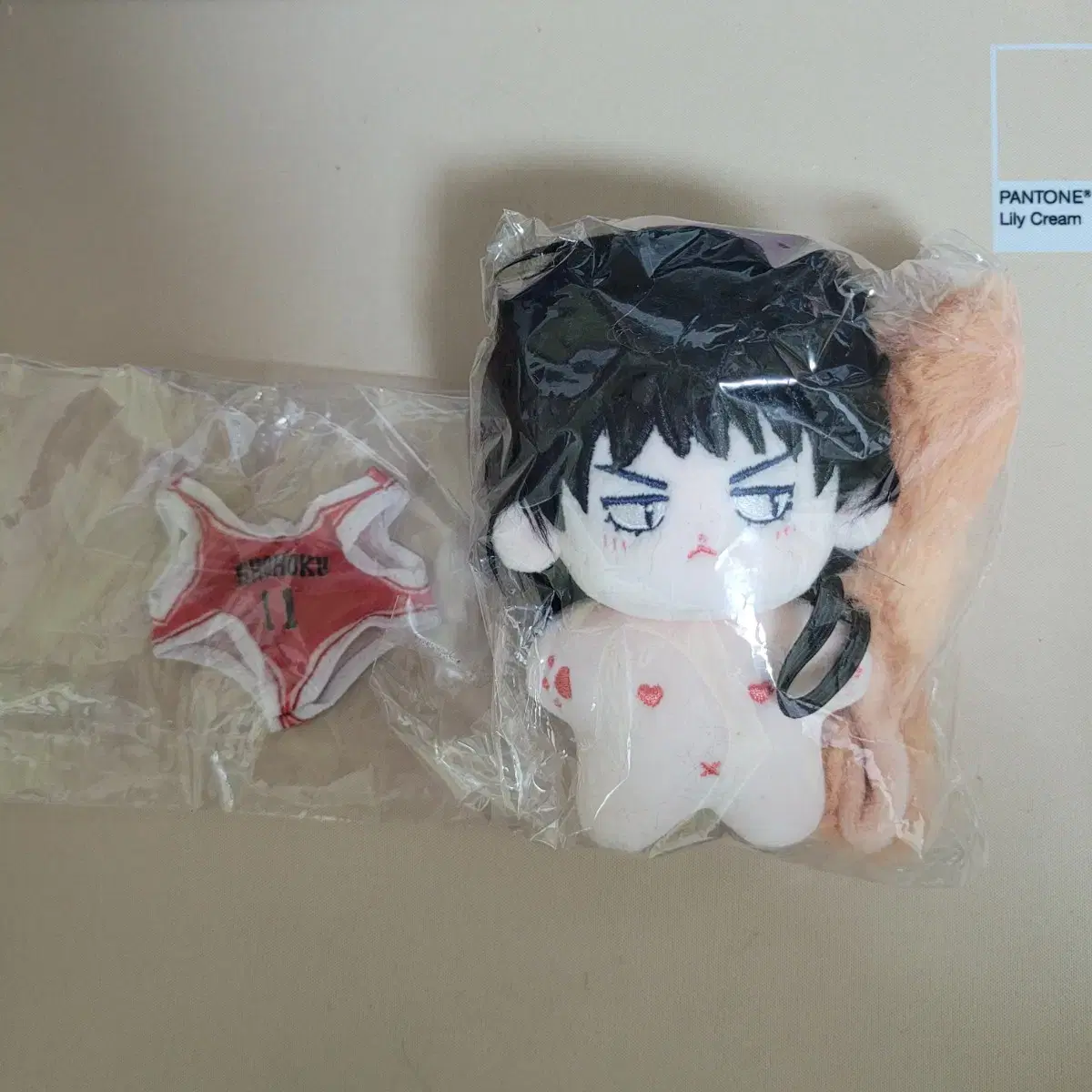 [unsealed] SLAM DUNK Seo Tae Woong doll Nui