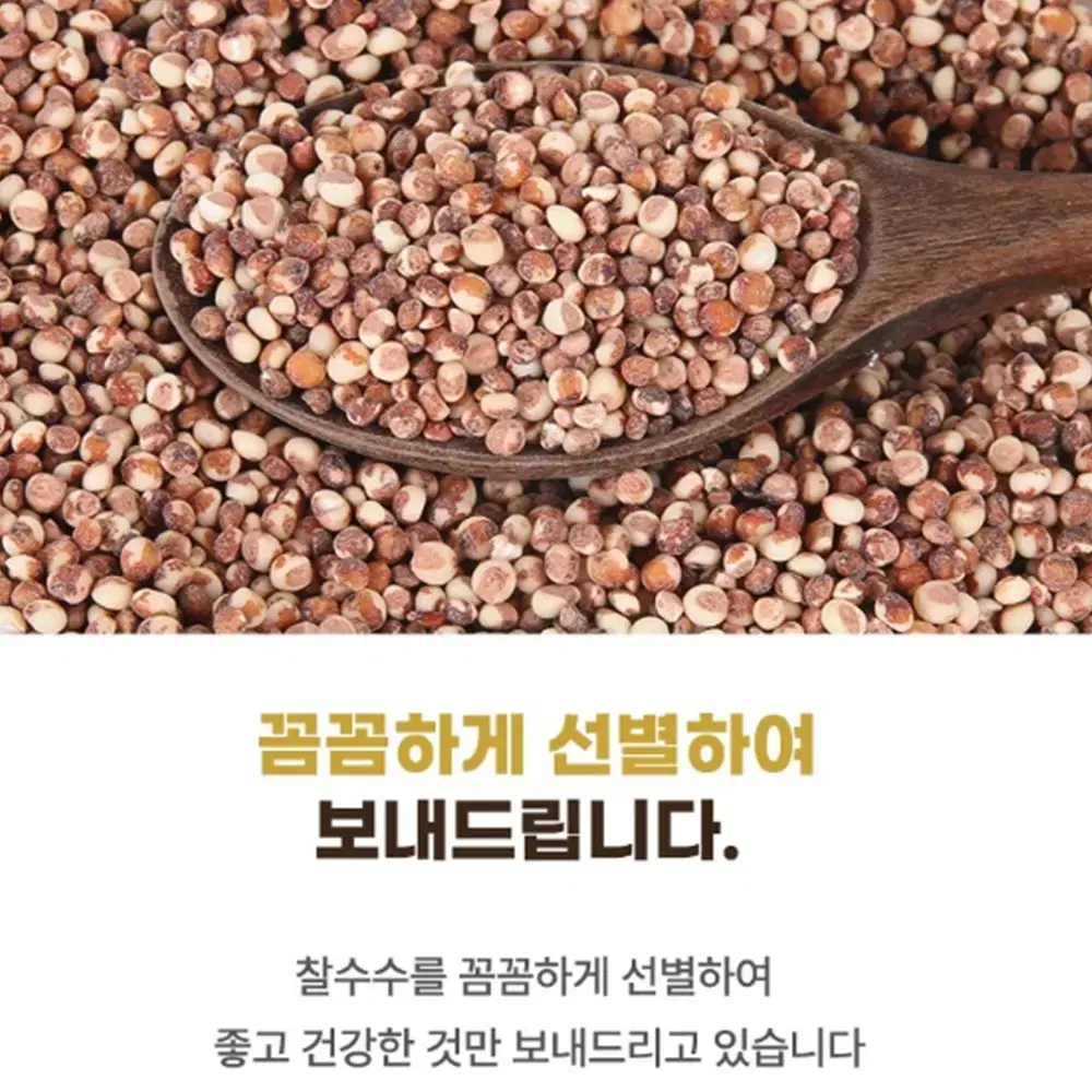 [무배/1kg] 100% 산지직송 찰수수 / 잡곡밥용 붉은수수