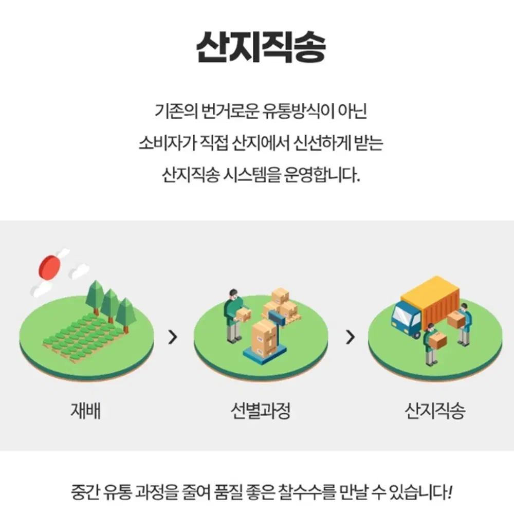 [무배/1kg] 100% 산지직송 찰수수 / 잡곡밥용 붉은수수