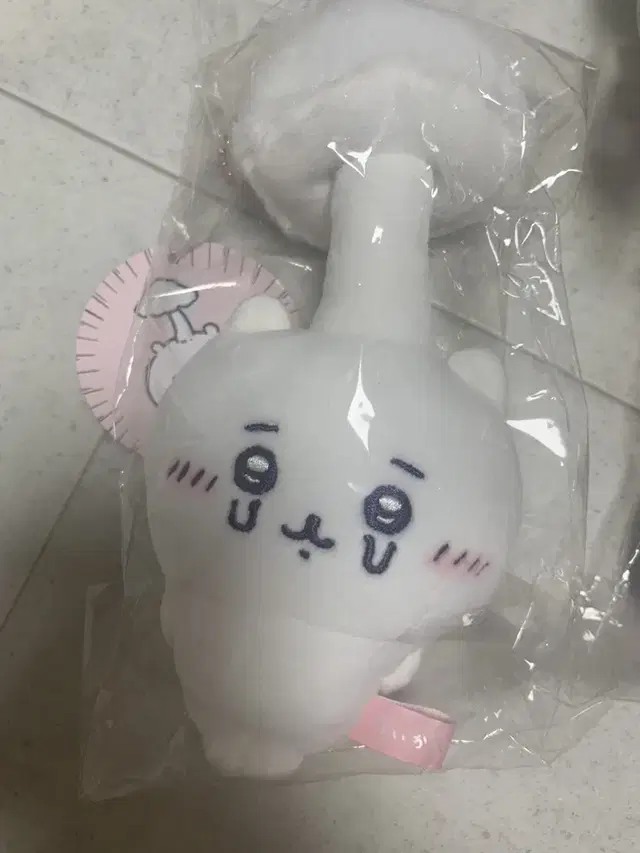 치이카와 기생버섯 치이카와