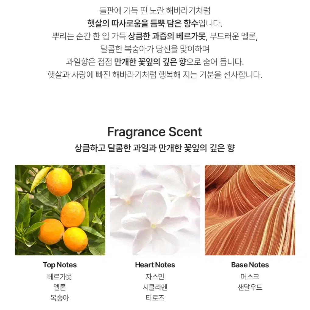 엘리자베스아덴 썬플라워 100ml EDT