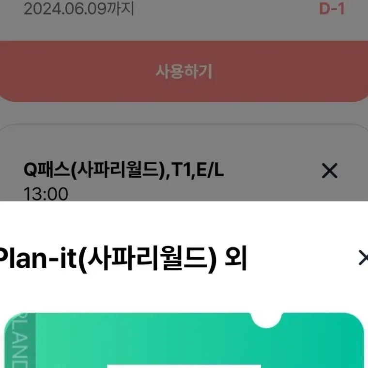 6. 9.(일) 에버랜드 사파리 큐패스 2장