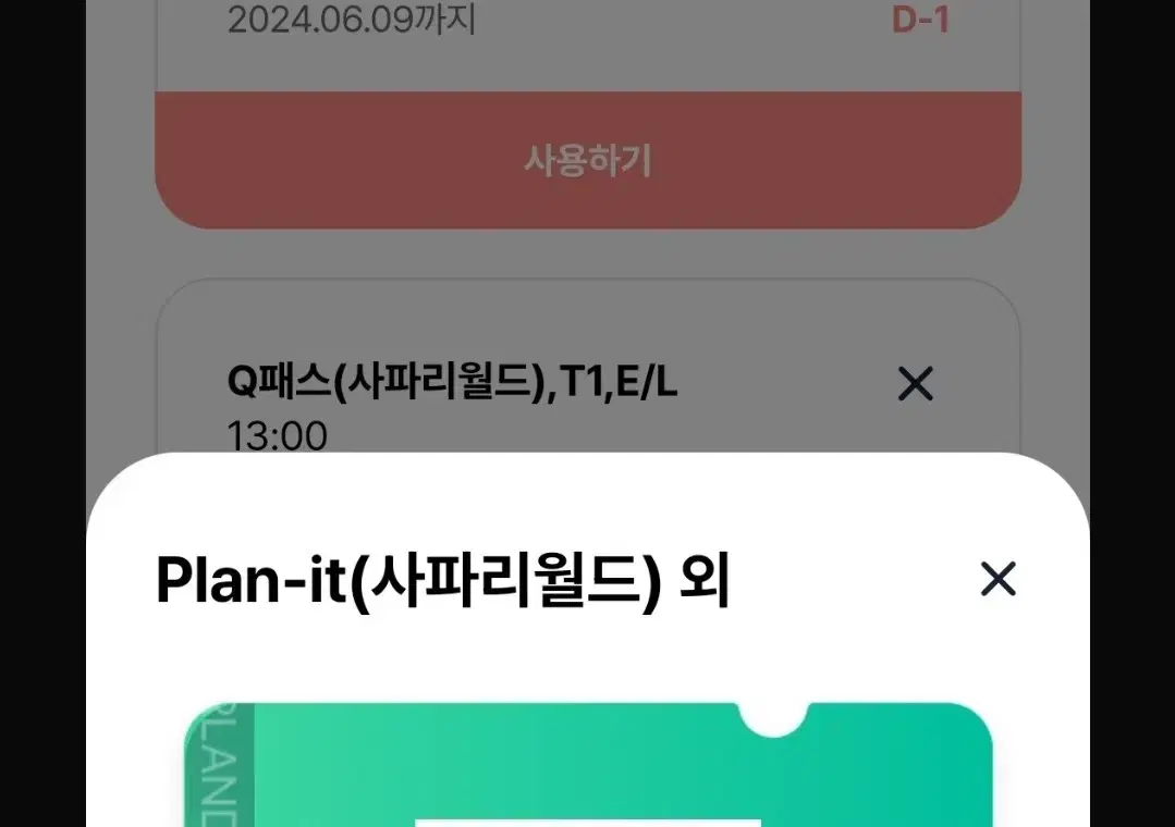 6. 9.(일) 에버랜드 사파리 큐패스 2장